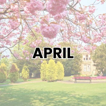 APRIL WEIRD HOLIDAYS