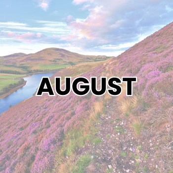 AUGUST WEIRD HOLIDAYS