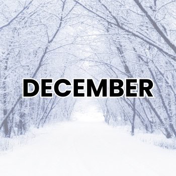 DECEMBER WEIRD HOLIDAYS