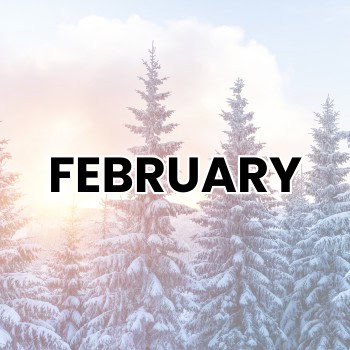 FEBRUARY WEIRD HOLIDAYS