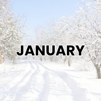 JANUARY WEIRD HOLIDAYS