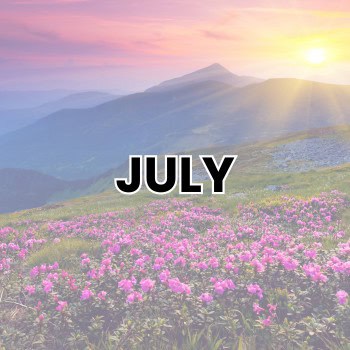 JULY WEIRD HOLIDAYS