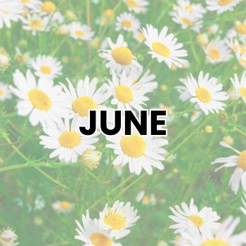 JUNE WEIRD HOLIDAYS