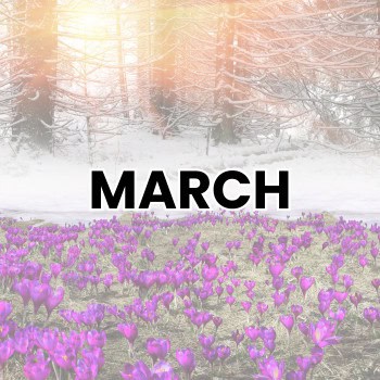 MARCH WEIRD HOLIDAYS