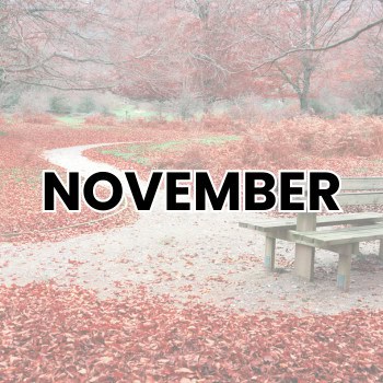 NOVEMBER WEIRD HOLIDAYS