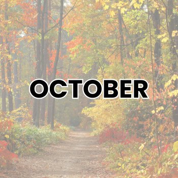 OCTOBER WEIRD HOLIDAYS