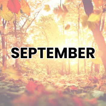 SEPTEMBER WEIRD HOLIDAYS