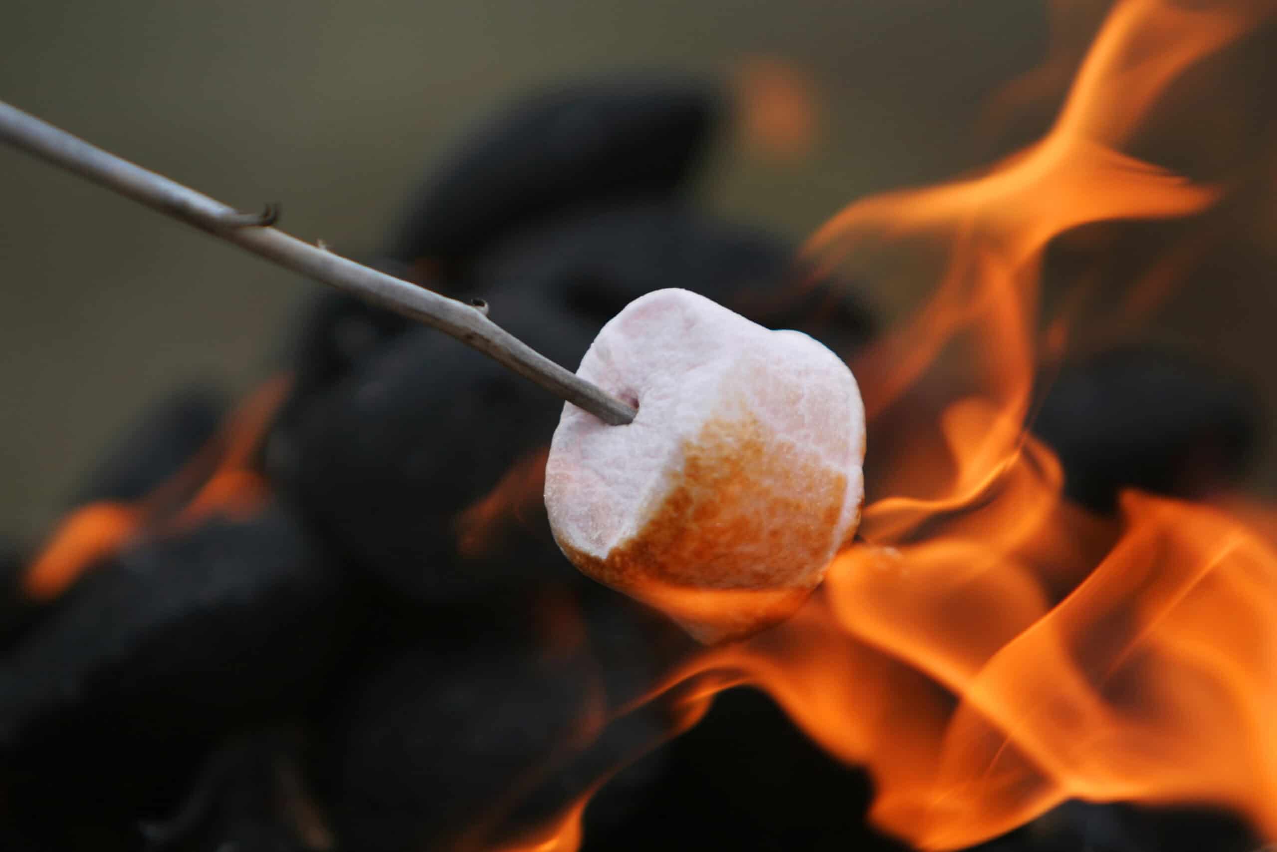 National Toasted Marshmallows Day (August 30)