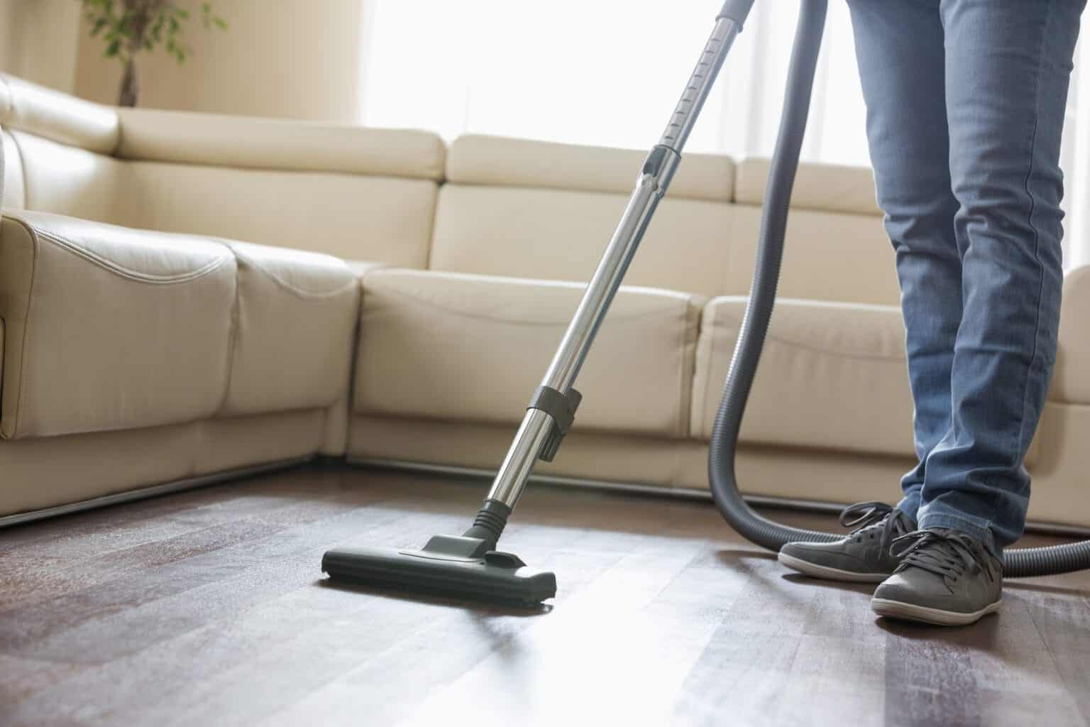 Create a Vacuum Day (February 4) Weird Holidays