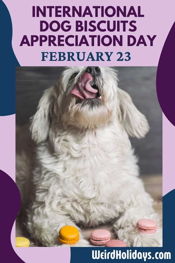International Dog Biscuit Appreciation Day (February 23)