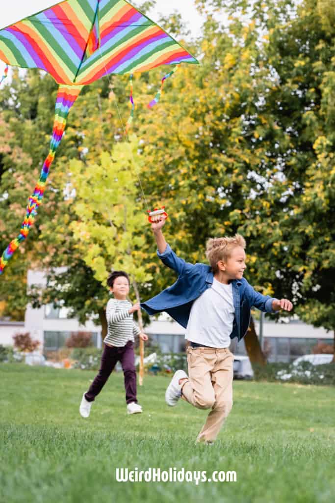 boy flying a kite