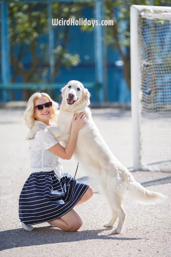 smiling woman with a dog jumping up her.