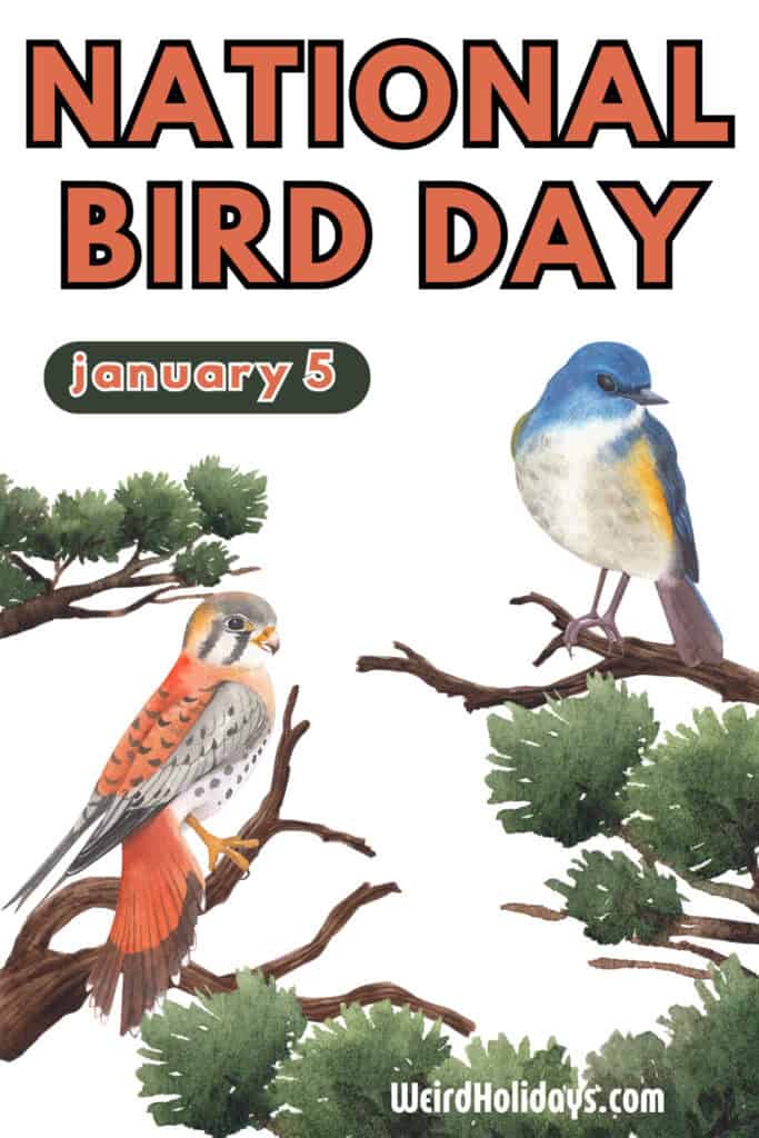 national bird day january 5th