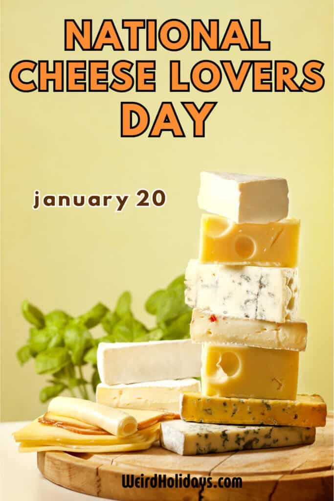 stack of different variety of cheeses on a wooden cheese board with the words national cheese lovers day january 20