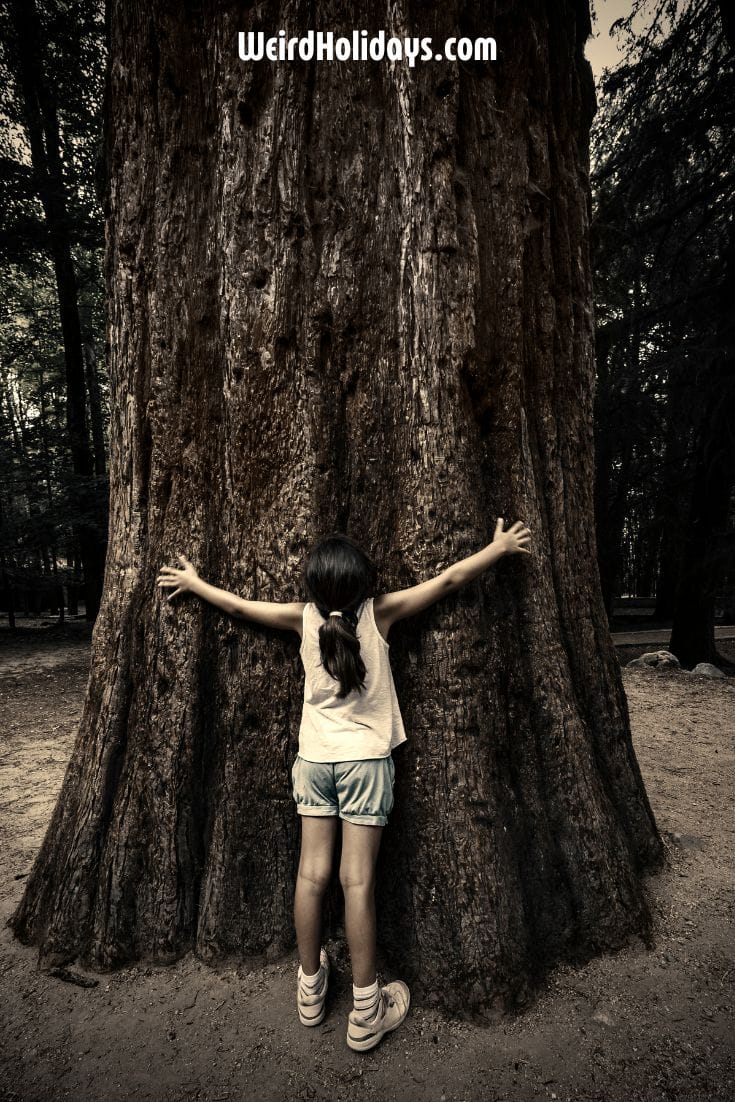 National Love a Tree Day: Facts, Activities & Ways to Celebrate
