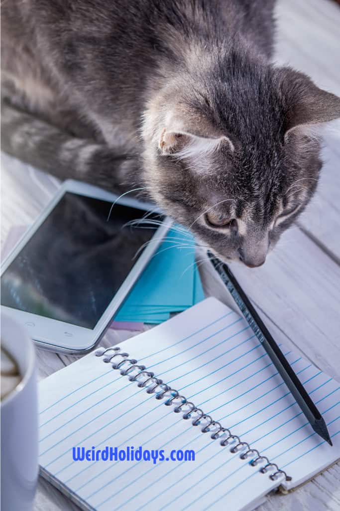 inquisitive cat looking at a phone and a notepad with a pen